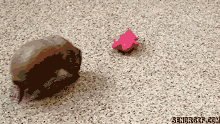 [Image: giphy.gif]