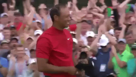 Tiger Woods Sport Gif By Sports GIF