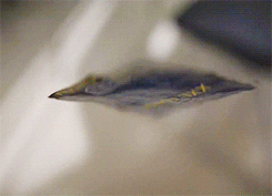 tv twins anonymous recappers panting winded