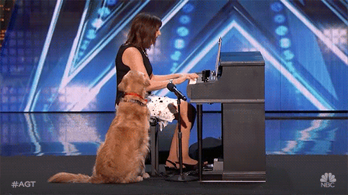Nbc Contestants GIF by America's Got Talent