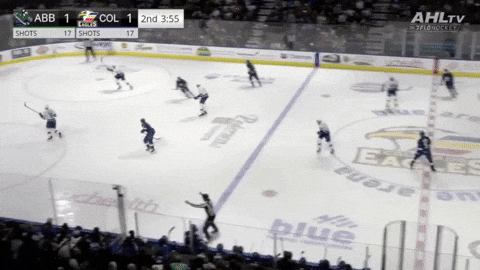 giphy.gif