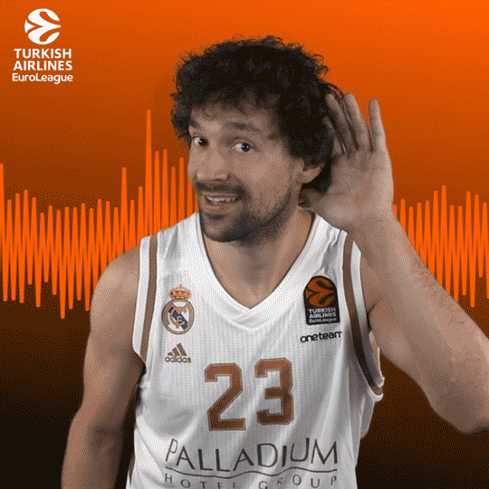 Real Madrid Sport GIF by EuroLeague Find & Share on GIPHY
