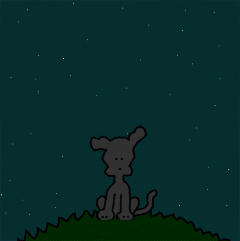 I Love You Good Morning Monday GIF by Chippy the Dog