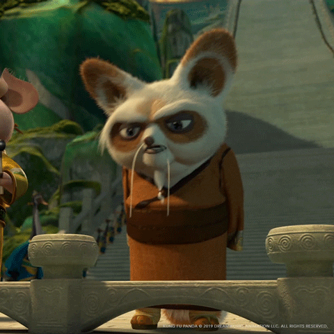 Excited Kung Fu GIF by DreamWorks Animation