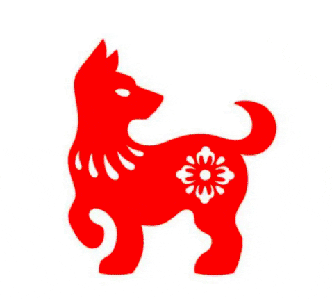 Animated GIF - Find & Share on GIPHY