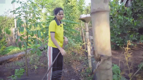 H'Hen Niê khiến fan thích thú khi trổ tài bếp núc, trèo cây điêu luyện tại quê nhà Đắk Lắk