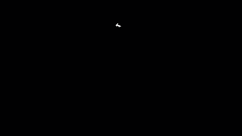 project-gif