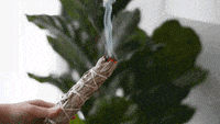 200w_d.gif