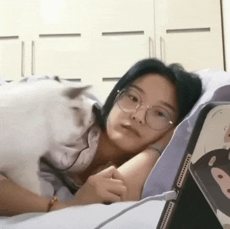Catto Like to Snuggle with Asian Hooman Cute Aww