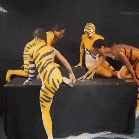 Bodypainted women forming a tiger in wow gifs