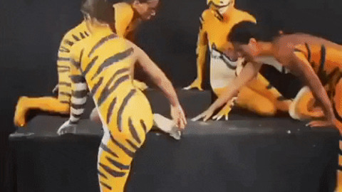 Bodypainted women forming a tiger