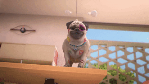 giphy.gif