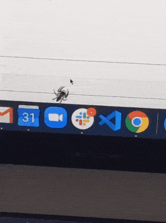Spider hunting arrow in funny gifs