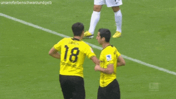 Borussia Dortmund GIF - Find & Share on GIPHY