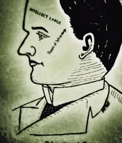Face GIF
