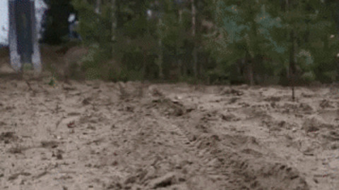 Great Escape best Gif
