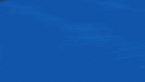 Sport Nfl GIF by Seattle Seahawks - Find & Share on GIPHY