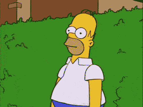 Image result for homer gif