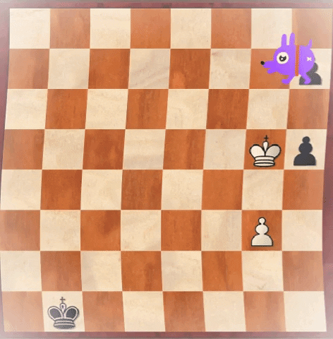 https://media.giphy.com/media/jVIRRvOrnpN6mebXiR/giphy.gif