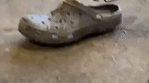 How to clean your crocs