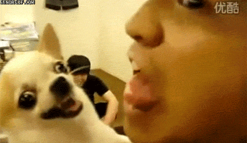 Bite Biting GIF by Cheezburger - Find & Share on GIPHY