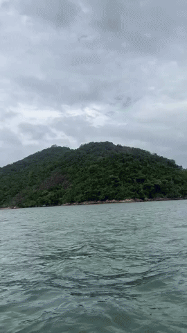 saco do mamanguá paraty