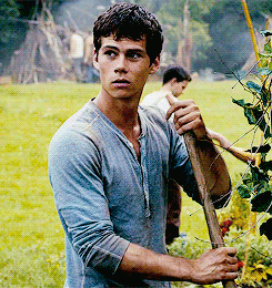 the maze runner animated GIF