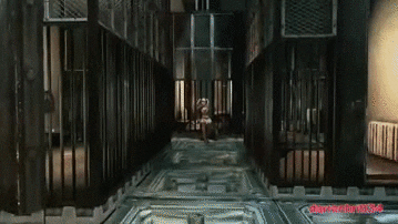 harley saver gif find share on giphy