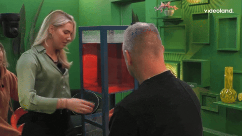giphy.gif