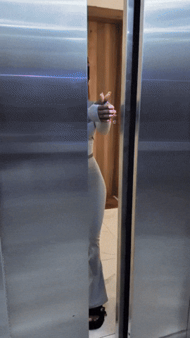 giphy.gif