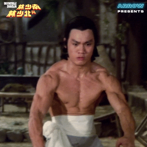 Martial Arts Fighting GIF by Arrow Video — Shaw Brothers