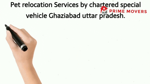 Pet transport service Ghaziabad