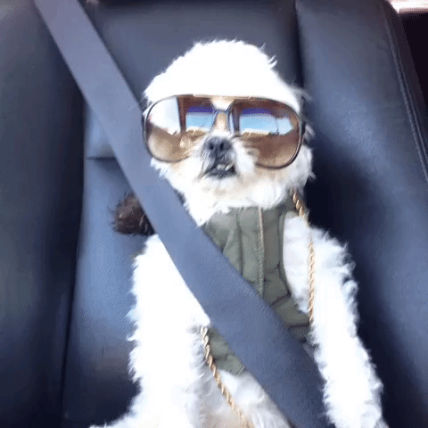 Road Trip Gif - Find &Amp; Share On Giphy