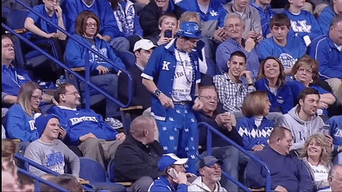 giphy.gif