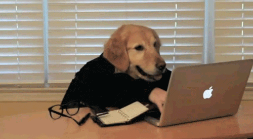 Perro tomando notas en el computador mientras trabaja