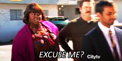 Donna, parks and recreation, "excuse me?"