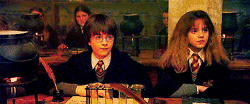 Hermione Granger Harry Potte GIF
