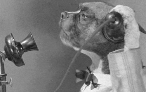 dogs talking to eachother on old telephone