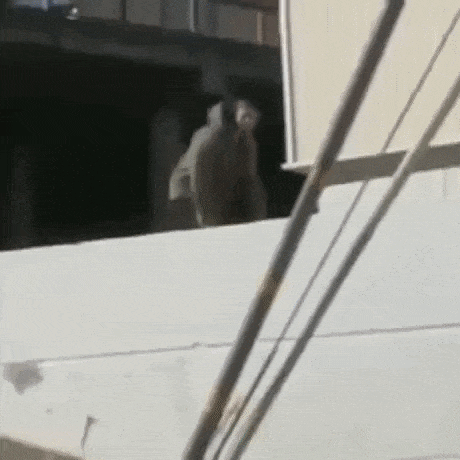 Nuts gone in fail gifs