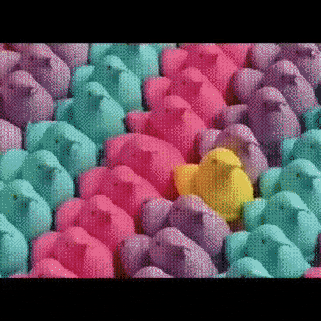 Perfect things in funny gifs