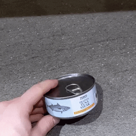 Best and Delicious Ways to Eat Canned Tuna | Hooman Opened Canned Tuna to Summon Catto