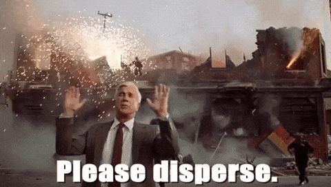 Image result for naked gun nothing to see here