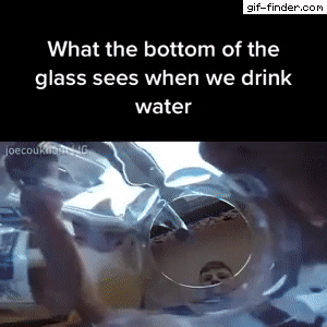 Drinking water in funny gifs