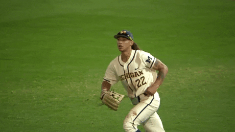Michigan Athletics GIF