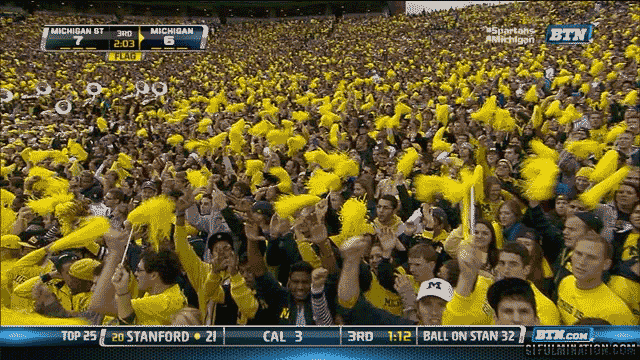 University of Michigan students waive yellow pom noms into the air at a Michigan vs. Michigan State football game.