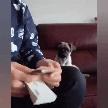 Everyone is your friend when you have money in funny gifs