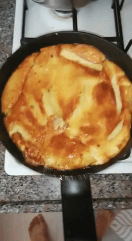 giphy.gif