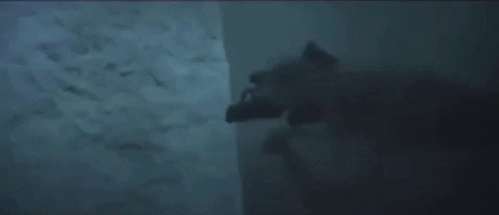 Dog wick in funny gifs