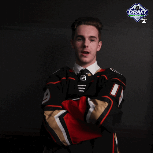 Ice Hockey Sport GIF by NHL Find & Share on GIPHY