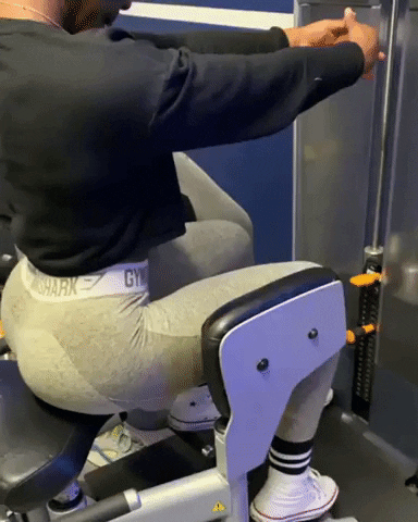 giphy.gif